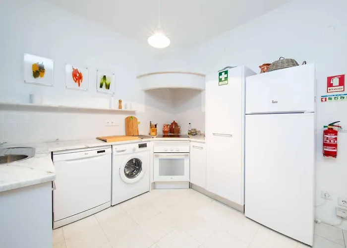 Jacaranda Bordeira * Corotelo