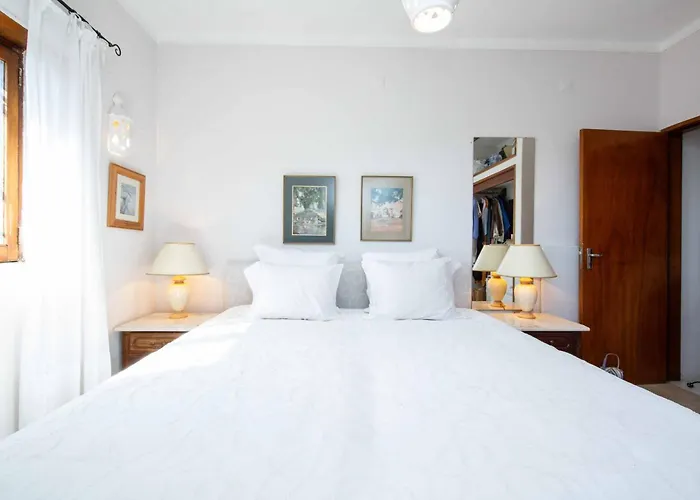 Jacaranda Bordeira Corotelo