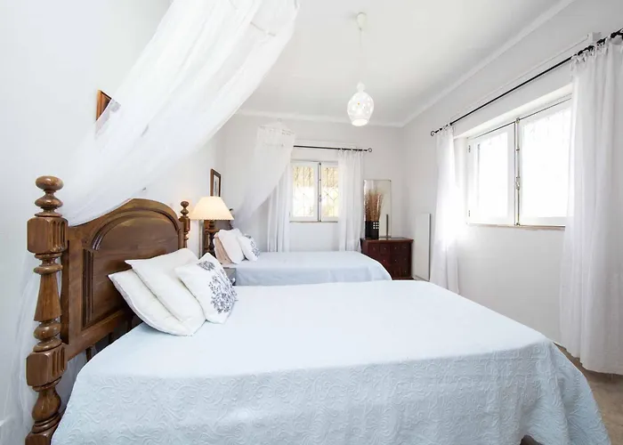 Jacaranda Bordeira * Corotelo