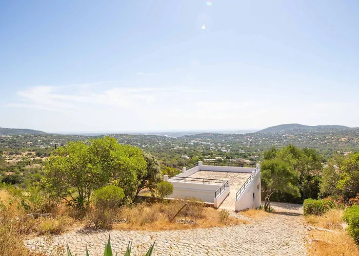 Jacaranda Bordeira *