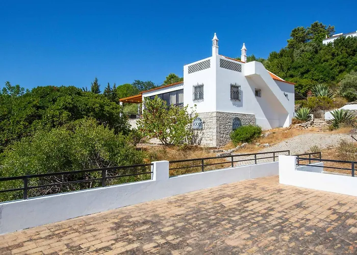 Jacaranda Bordeira *