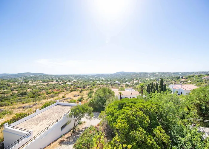 Jacaranda Bordeira * Corotelo