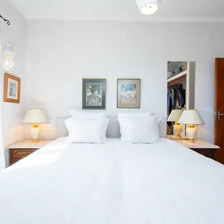 Jacaranda Bordeira Corotelo