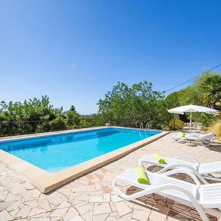 Jacaranda Bordeira Villa Corotelo