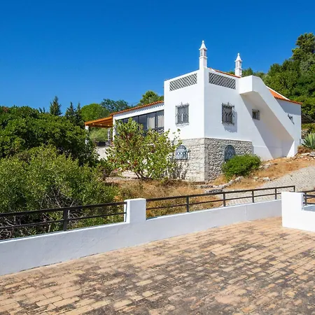 Jacaranda Bordeira *