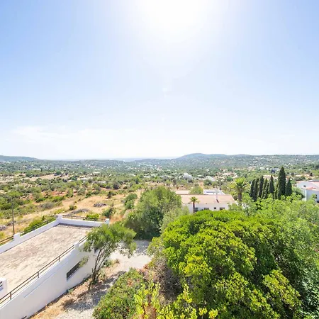Jacaranda Bordeira * Corotelo