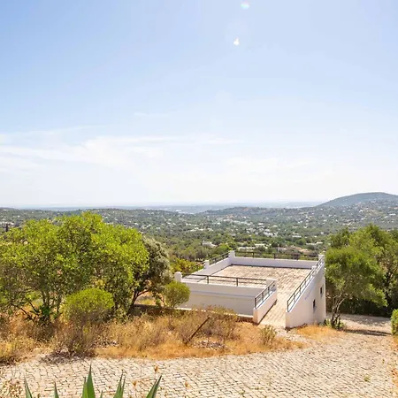 Jacaranda Bordeira *